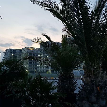 The Horse - De Silva Residence Mamaia Luaran gambar